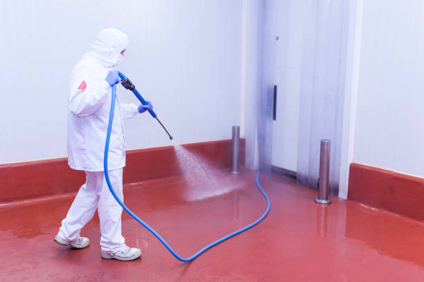 Best Pre-Holiday Cleaning  in Grosse Pointe Park, MI