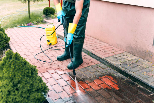 Best Rust Removal  in Grosse Pointe Park, MI