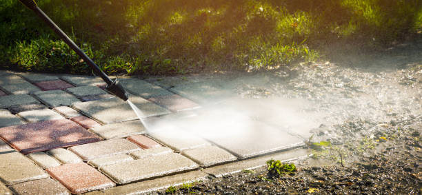 Best Driveway Pressure Washing  in Grosse Pointe Park, MI